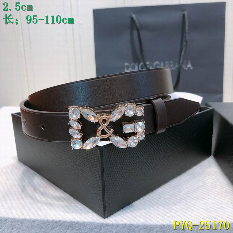 DG Belt 25mmX95-110CM 8L04